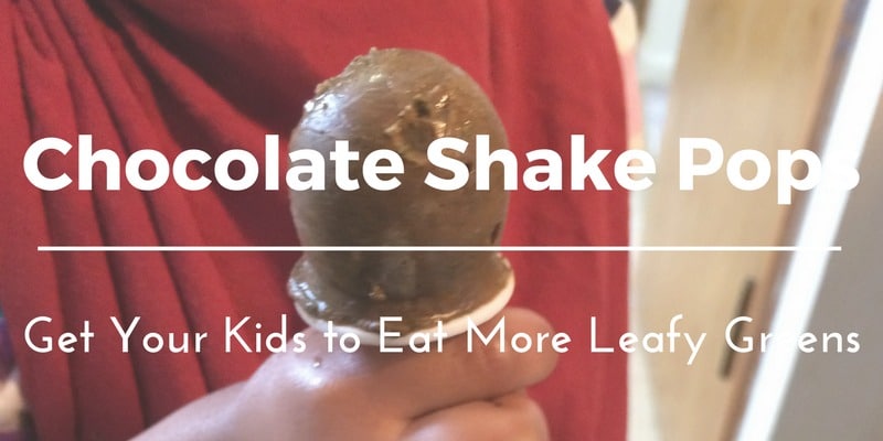 Chocolate Shake Pops Creative Way to Get Your Kids to Eat More Leafy Greens