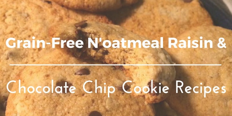 Grain Free N’oatmeal Raisin Cookie and Chocolate Chip Cookie Recipes