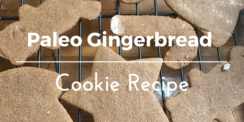 Allergy Friendly, Egg-Free Paleo Gingerbread Cookie Recipe